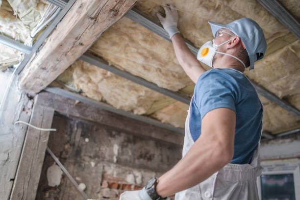 Best Garage Insulation Installation  in Stafford, TX