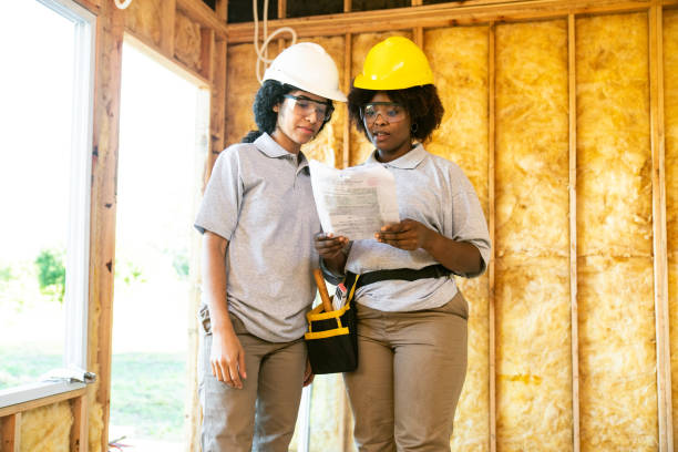 Best Insulation Replacement Services  in Stafford, TX